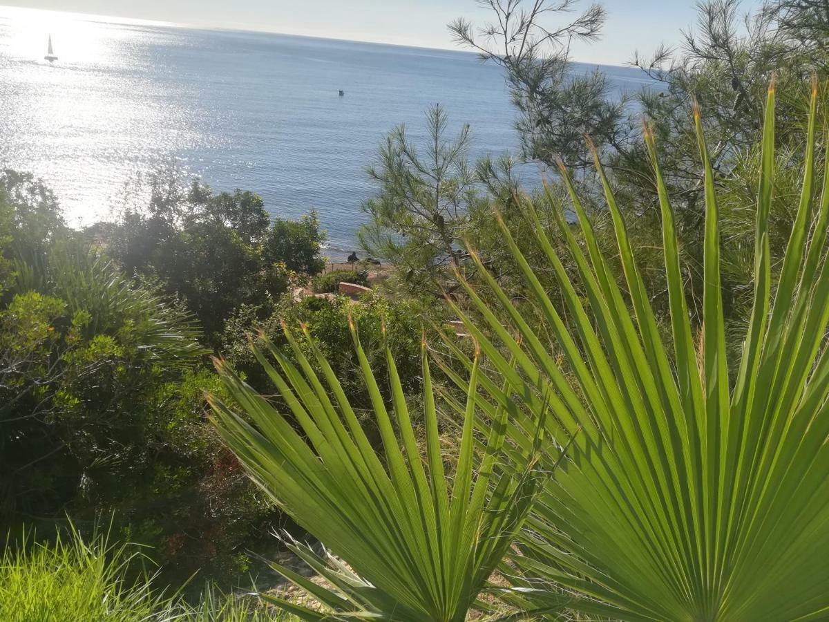 Cabo Roig Bellavista III Διαμέρισμα Εξωτερικό φωτογραφία