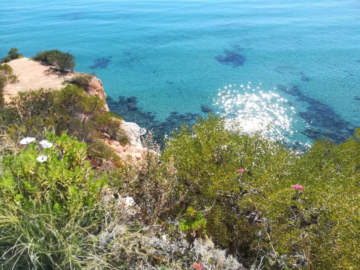 Cabo Roig Bellavista III Διαμέρισμα Εξωτερικό φωτογραφία
