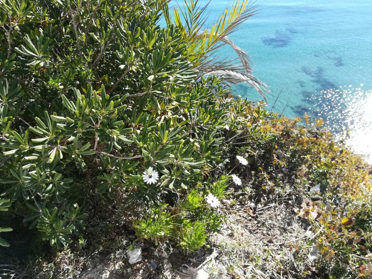 Cabo Roig Bellavista III Διαμέρισμα Εξωτερικό φωτογραφία