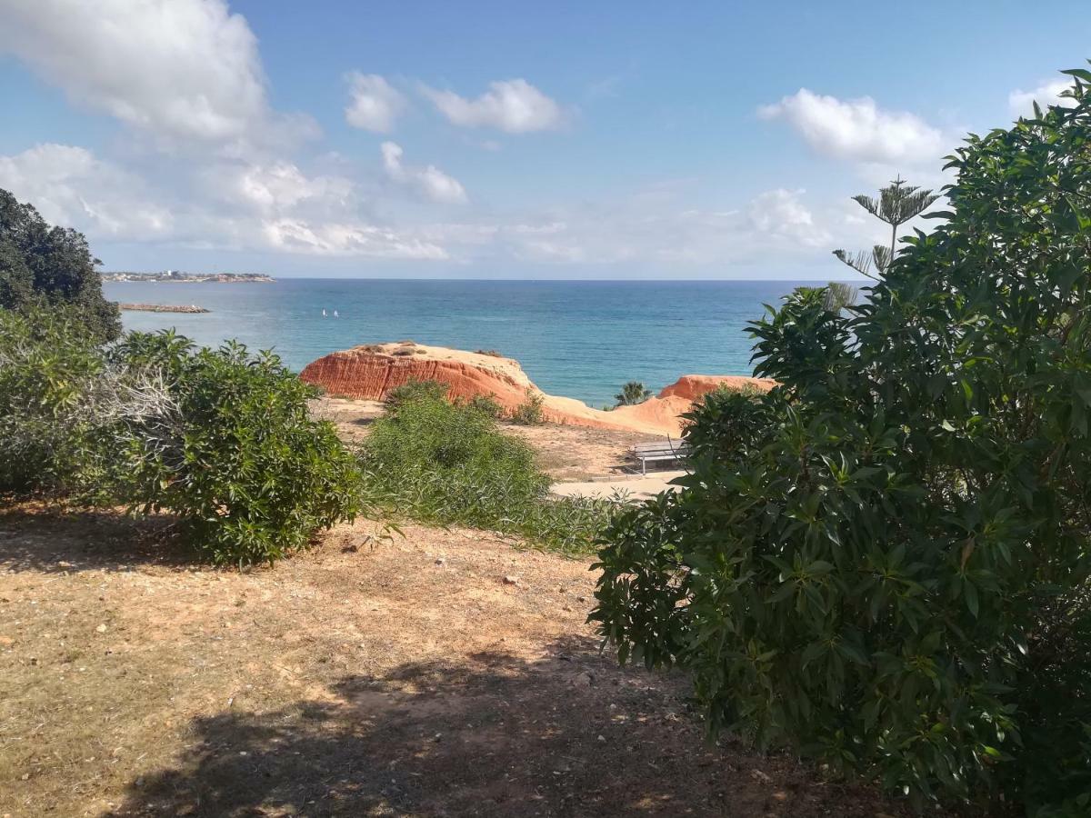 Cabo Roig Bellavista III Διαμέρισμα Εξωτερικό φωτογραφία